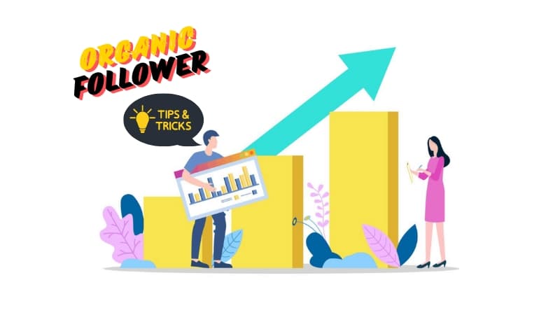 How to Build a Strong Organic Following: